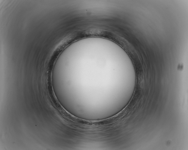 X0000096950735200802080920