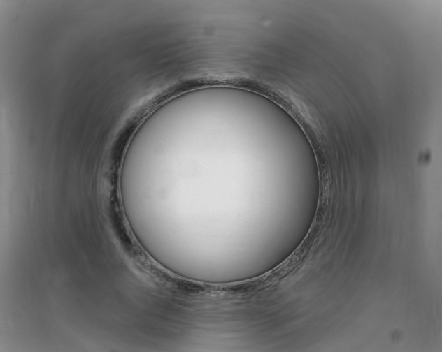 X0000096950736200802080920