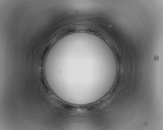 X0000096950737200802080920