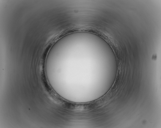 X0000096950740200802080920
