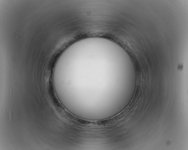 X0000096950742200802080920