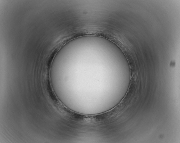 X0000096950744200802080920