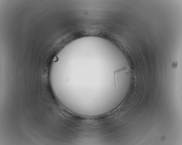 X0000096950745200802080920