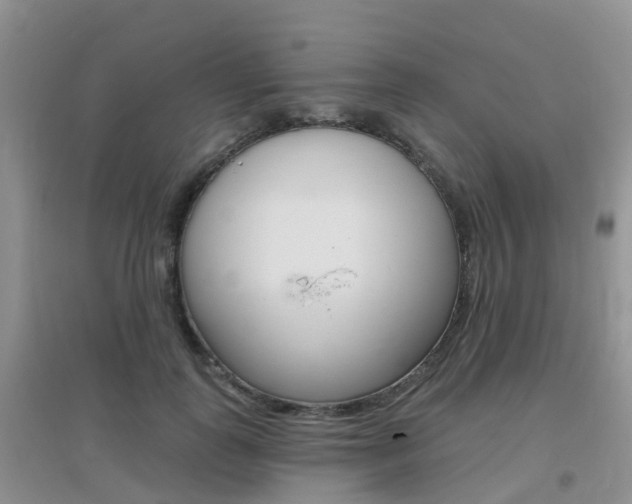 X0000096950747200802080920