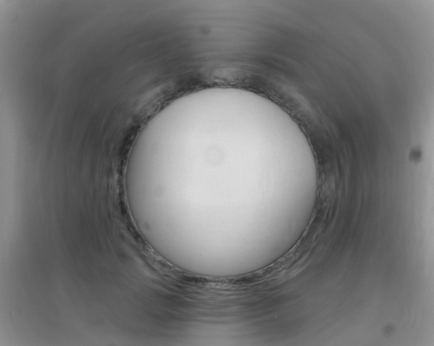 X0000096950749200802080920