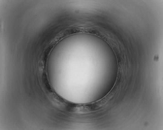 X0000096950752200802080920