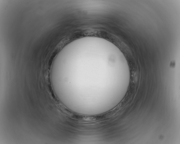 X0000096950753200802080920