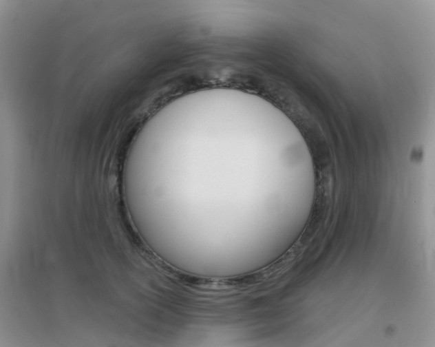 X0000096950754200802080920