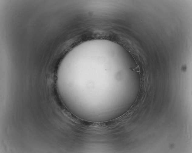 X0000096950756200802080920