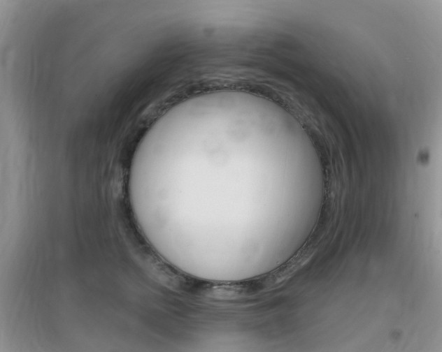X0000096950758200802080920