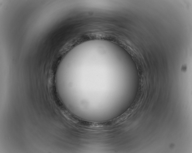 X0000096950760200802080921