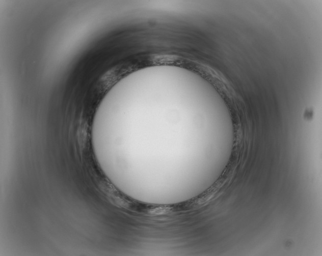 X0000096950761200802080921