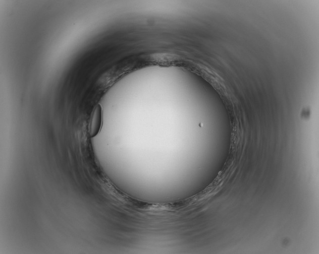 X0000096950762200802080921