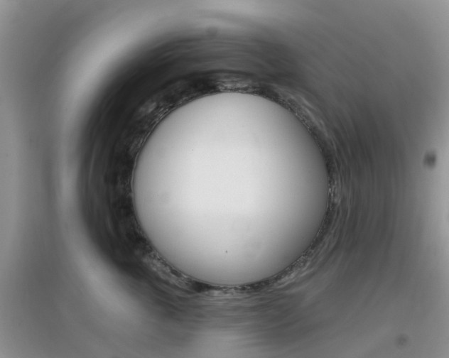 X0000096950763200802080921