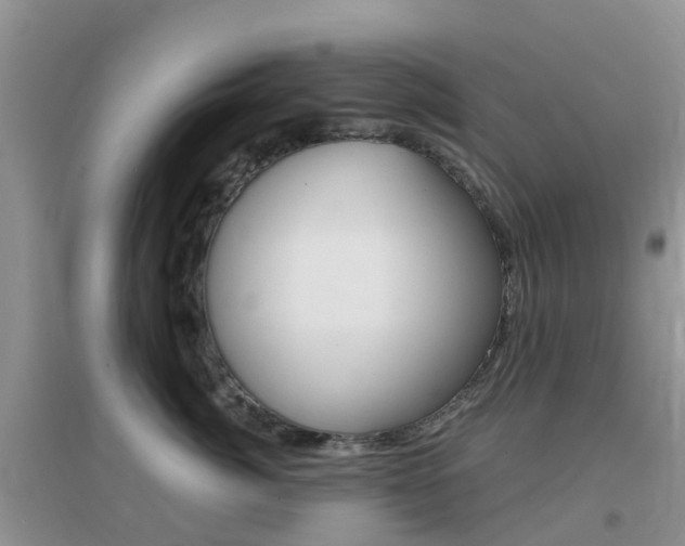 X0000096950764200802080921