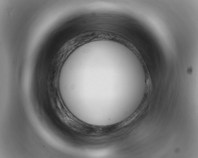 X0000096950765200802080921
