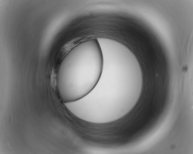 X0000096950766200802080921