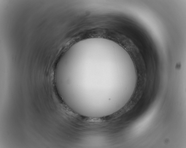 X0000096950767200802080921