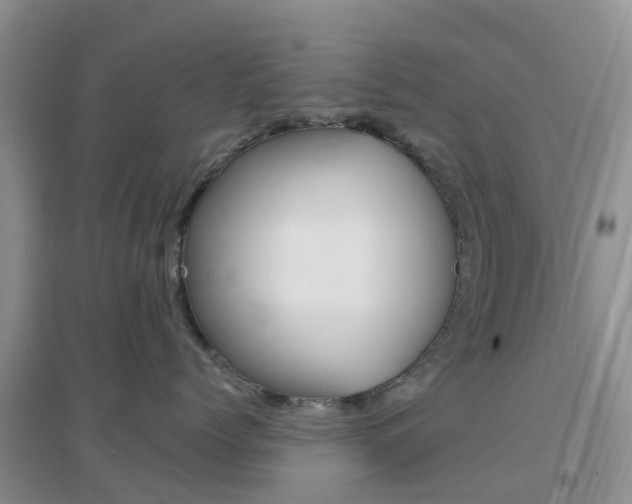 X0000096950768200802080921