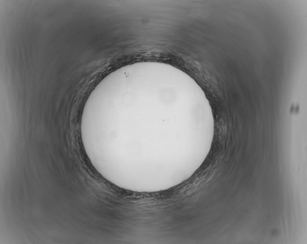 X0000096950769200802080920