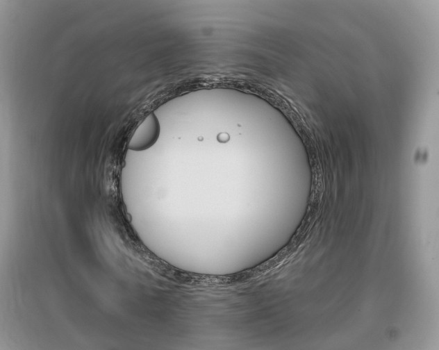 X0000096950770200802080920