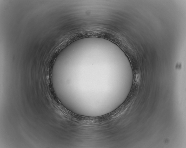 X0000096950771200802080920