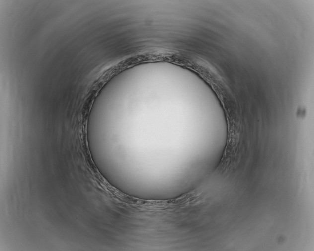 X0000096950773200802080920