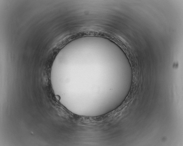 X0000096950774200802080920