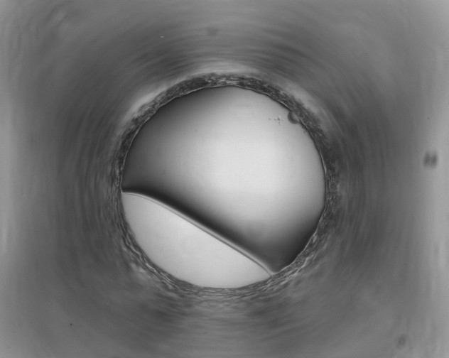 X0000096950775200802080920