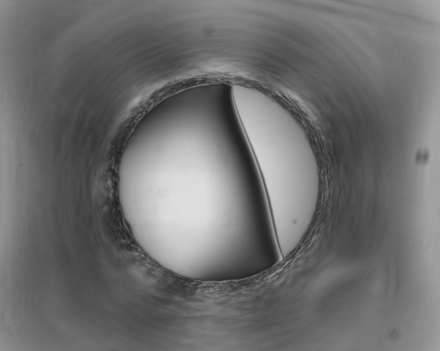 X0000096950776200802080920