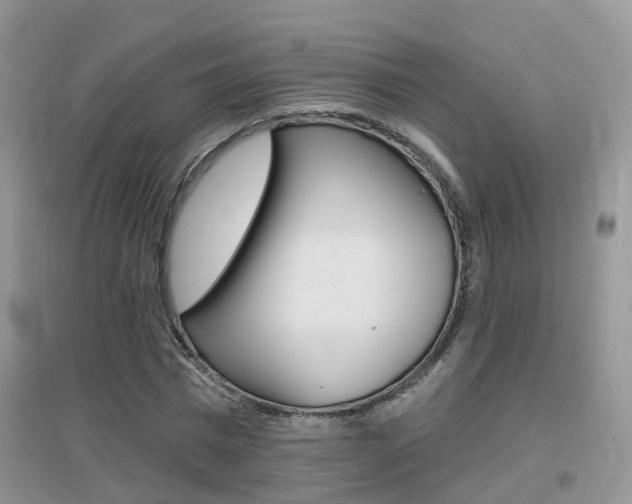 X0000096950777200802080920