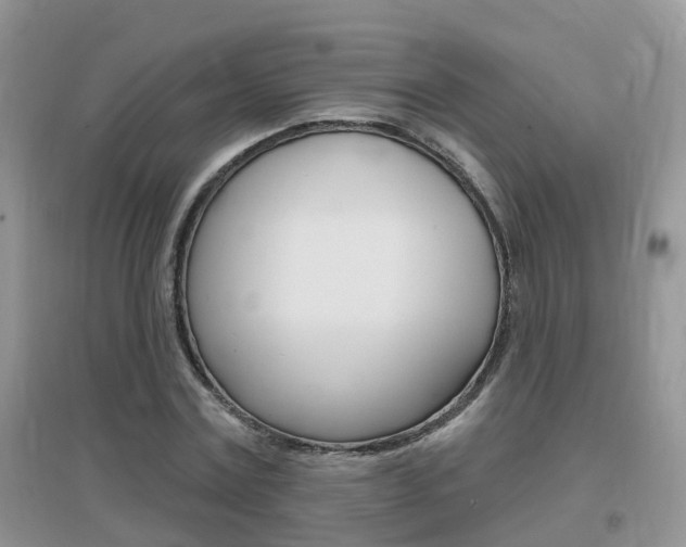X0000096950779200802080920