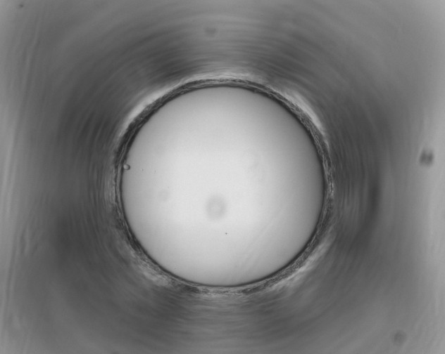 X0000096950781200802080920