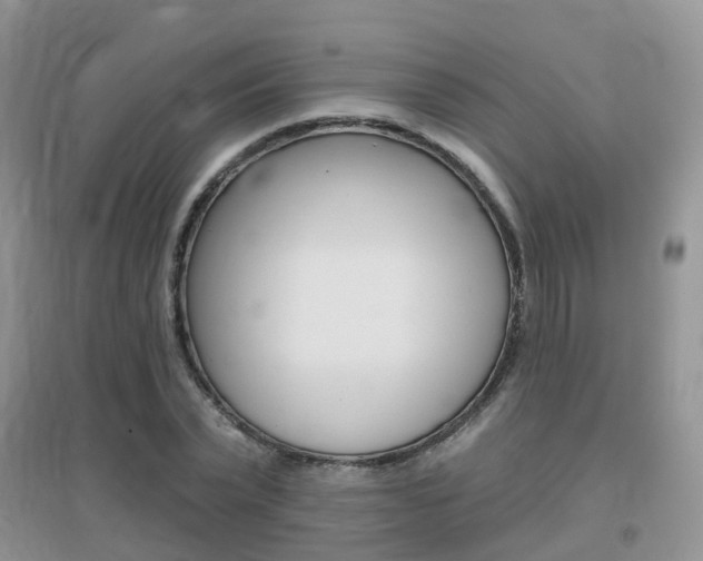 X0000096950783200802080920