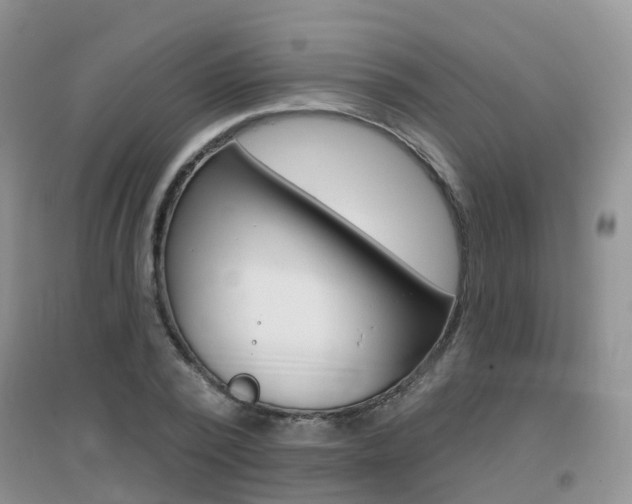 X0000096950784200802080920