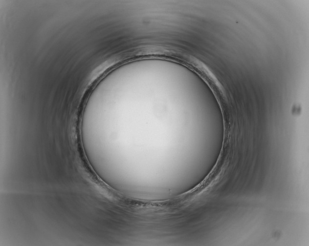 X0000096950786200802080920