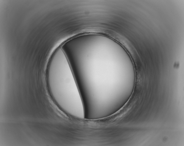 X0000096950787200802080920