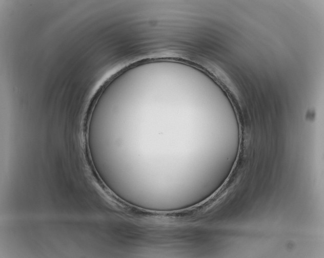 X0000096950789200802080920