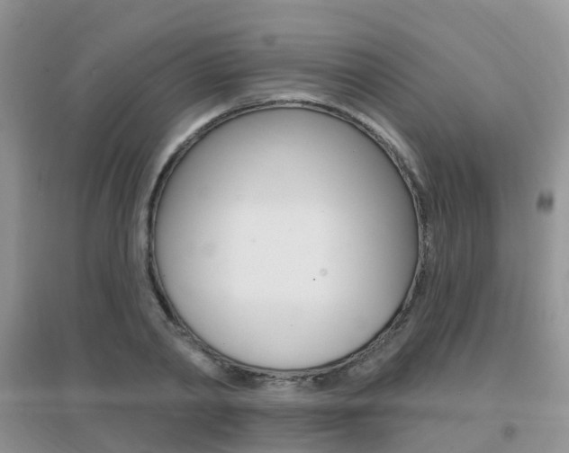 X0000096950790200802080919