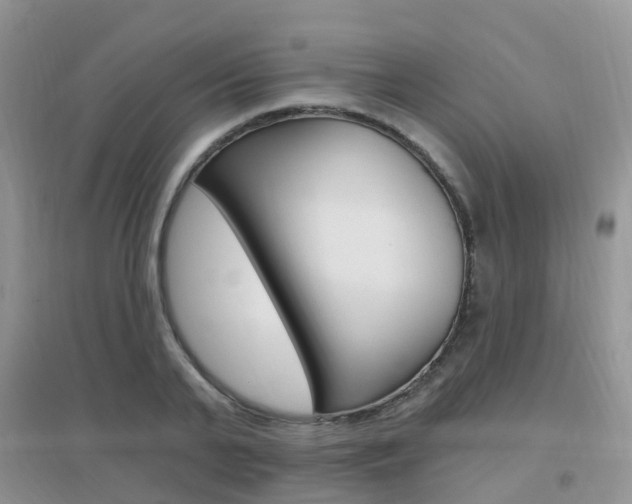 X0000096950791200802080919