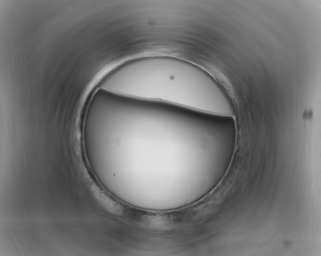 X0000096950792200802080919