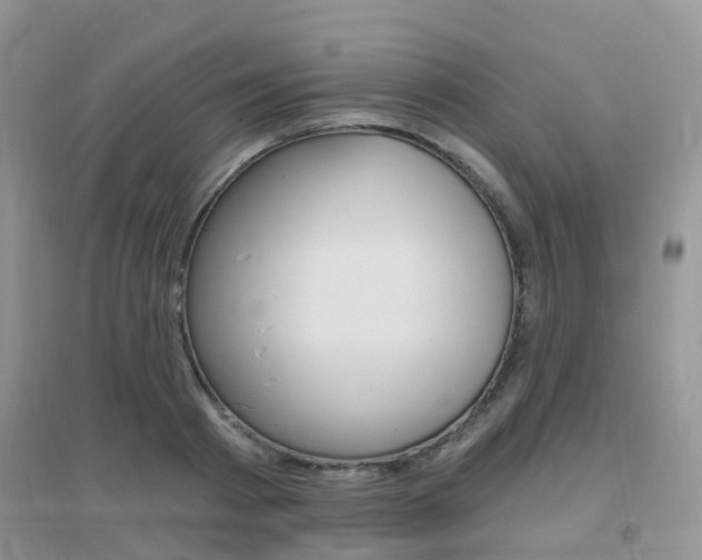 X0000096950793200802080919