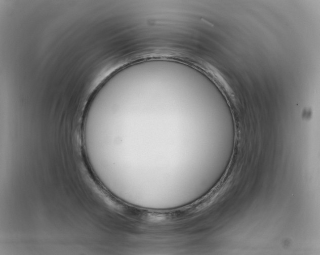 X0000096950794200802080919