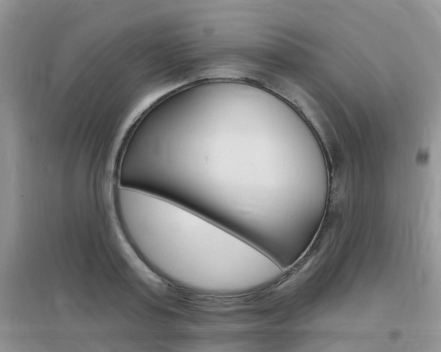 X0000096950795200802080919