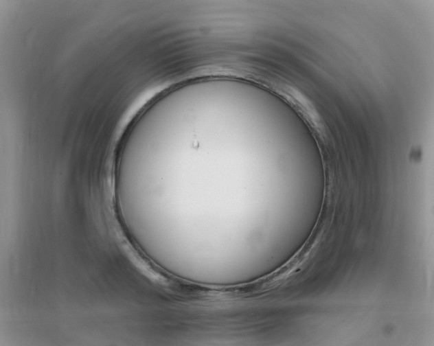 X0000096950796200802080919
