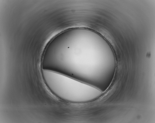 X0000096950797200802080919