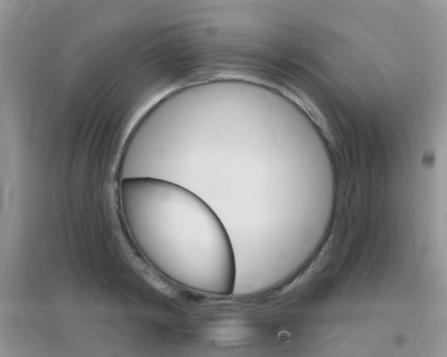 X0000096950798200802080919