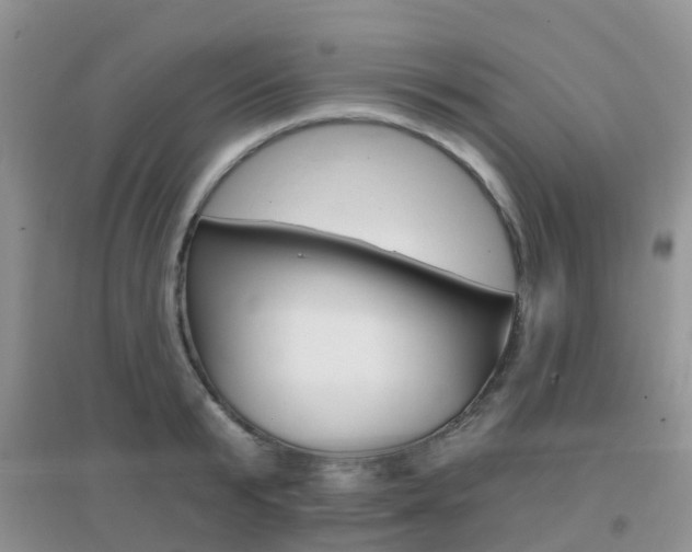 X0000096950799200802080919