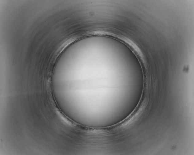 X0000096950801200802080919