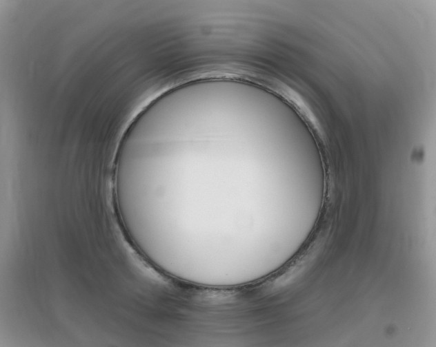 X0000096950802200802080919